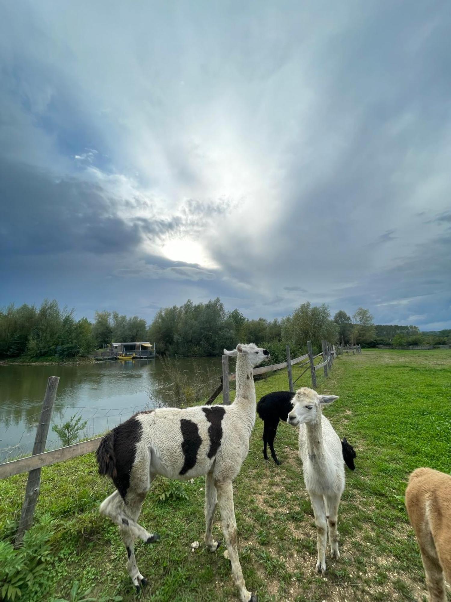 Lodges Des Grands Crus Chablis Buitenkant foto